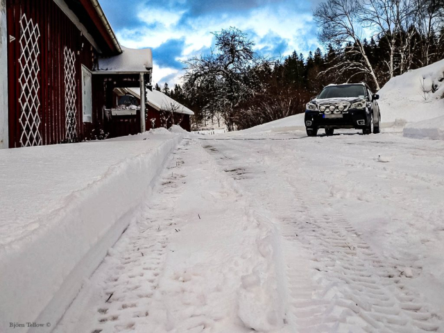 Vinter igen! Okul!
